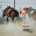 【馬旅】北海道2日目  ばんえい競馬 in 帯広競馬場（パドック＆レース編）