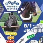 【速報】引退馬の余生を考えよう 企画展（8/1～9/6＠JRA新潟競馬場）