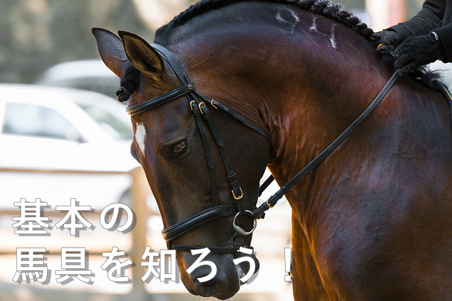 Pacalla】基本の馬具を知ろう！ | BALOG