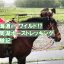 摩周湖ホーストレッキング